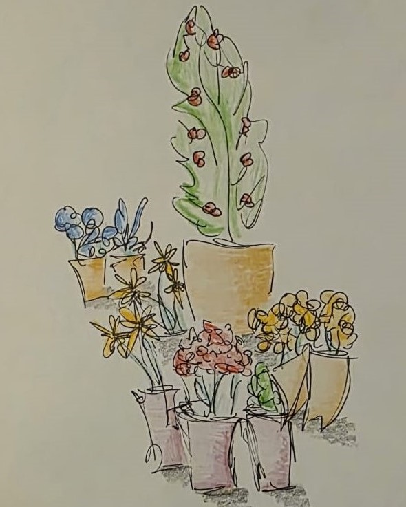 Sketch & Draw Rotterdam